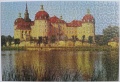 500 Schloss Moritzburg (1)1.jpg