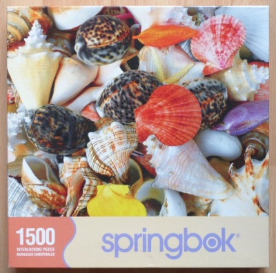 1500 Seashells.jpg
