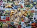 2000 Food Collage1.jpg