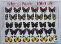1000 Schmetterlinge.jpg