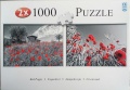 2000 Red Poppy.jpg