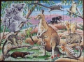 100 Australische Tierwelt1.jpg