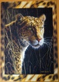 1000 Leopard (4)1.jpg