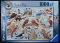 1000 Birds of Prey.jpg